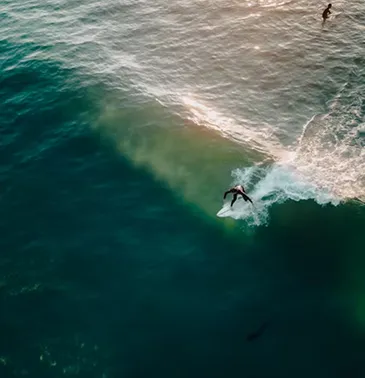 Naturephotoes